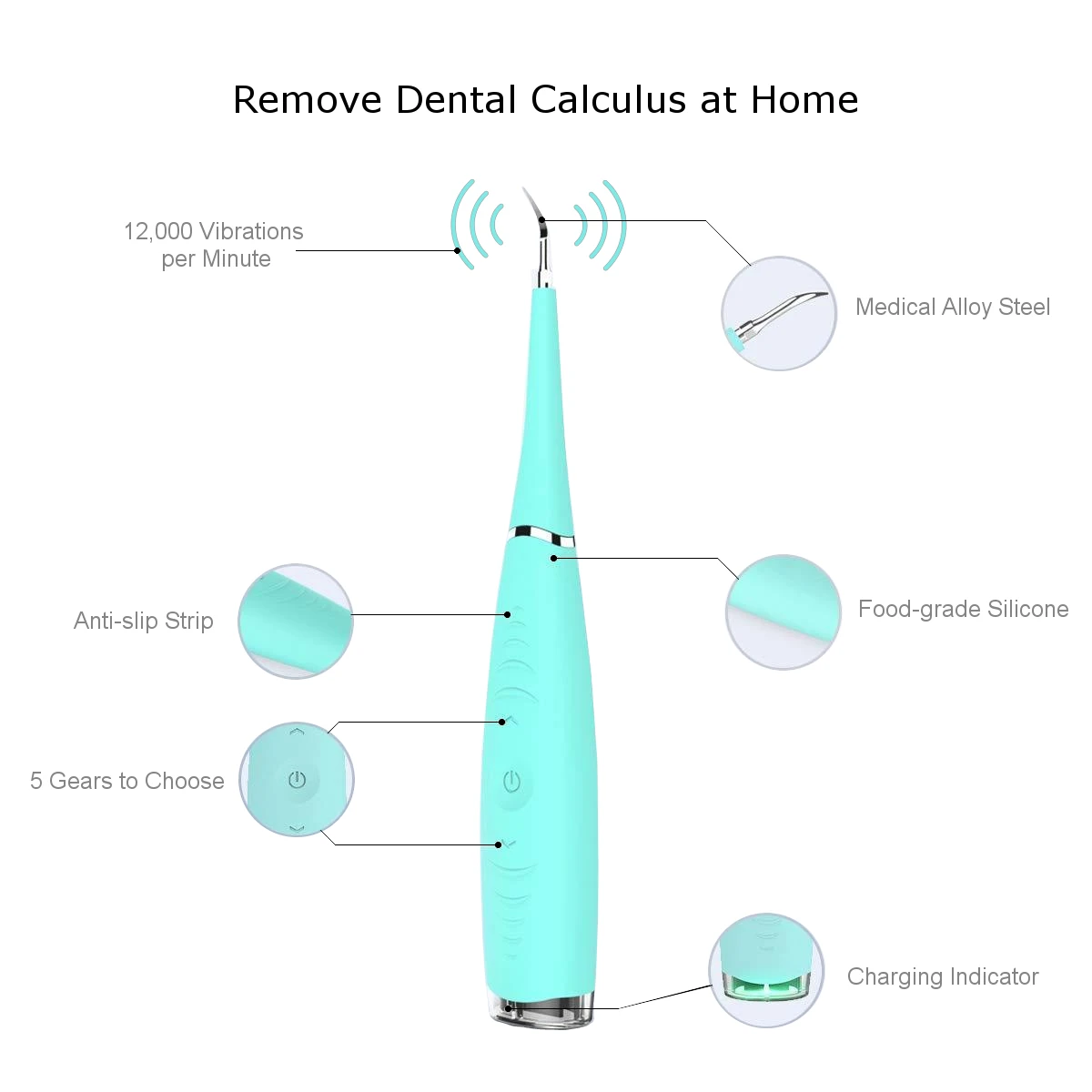 Calculus Plaque & Tartar Remover